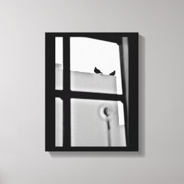 Pigeon Drama Canvas Afdruk