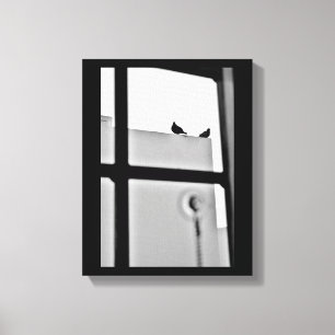 Pigeon Drama Canvas Afdruk