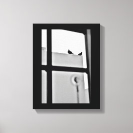 Pigeon Drama Canvas Afdruk