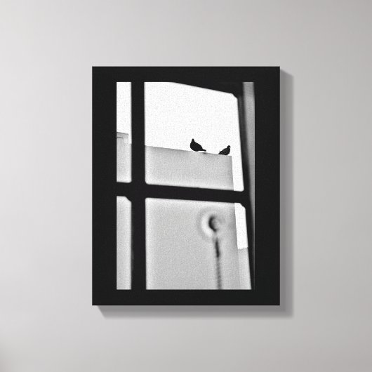 Pigeon Drama Canvas Afdruk (Voorkant)