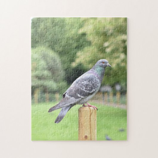 Pigeon Duncan Terrace Gardens Islington Verenigd K Legpuzzel (Verticaal)