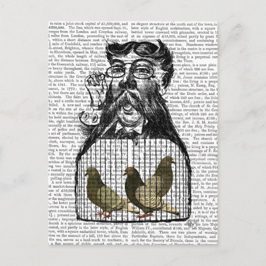Pigeon Fancier Briefkaart (Voorkant)