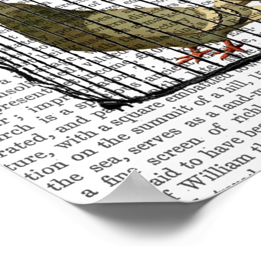 Pigeon Fancier Poster (Hoek)