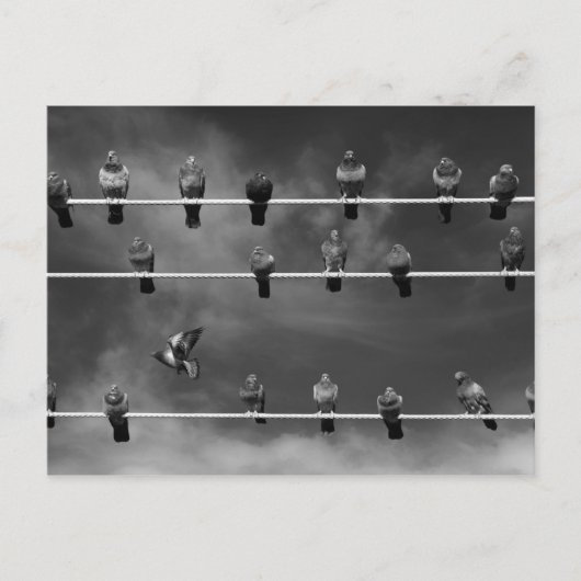 Pigeon Foosball Post Card Briefkaart (Voorkant)