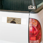 Pigeon Hawk Bumpersticker (Op Truck)