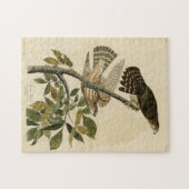 Pigeon Hawk (Merlin) - Audubon's Birds of America Legpuzzel (Horizontaal)