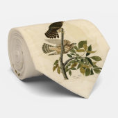 Pigeon Hawk (Merlin) - Audubon's Birds of America Stropdas (Opgerold)