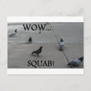 PIGEON-HUMOR BRIEFKAART