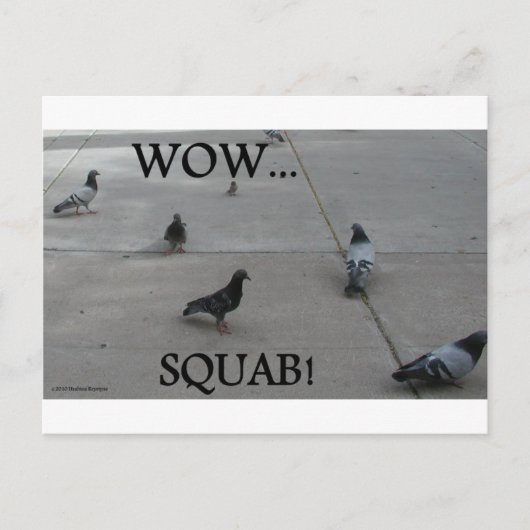 PIGEON-HUMOR BRIEFKAART (Voorkant)