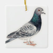 Pigeon II Bird Art Ornament (Voorkant)