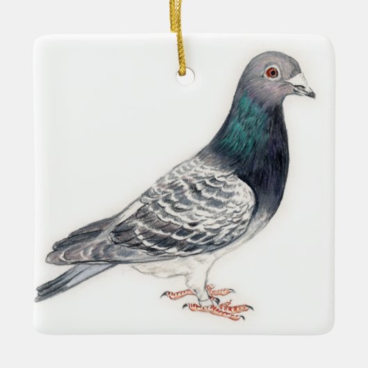 Pigeon II Bird Art Ornament (Voorkant)