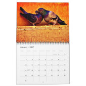 Pigeon Love Kalender (Jan 2027)