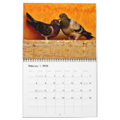 Pigeon Love Kalender (Feb 2026)