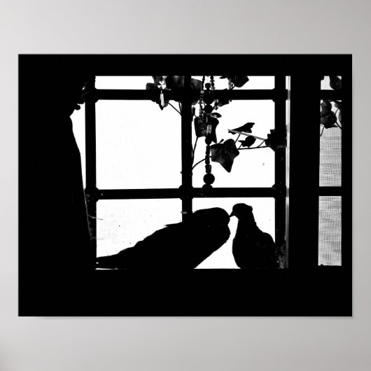 Pigeon Love Poster (Voorkant)