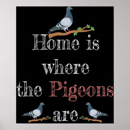 Pigeon Lover Pigeon Racing Gift Pigeon Breeding Poster (Voorkant)