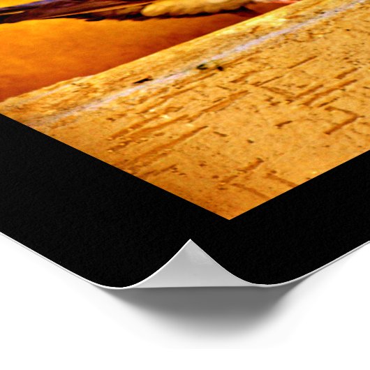 Pigeon Lovers Poster (Hoek)