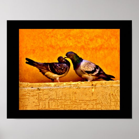 Pigeon Lovers Poster (Voorkant)