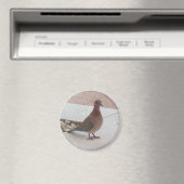Pigeon magnet (Insitu (Vaatwasser))