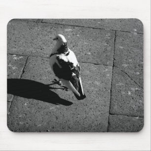 Pigeon Mousepad Muismat