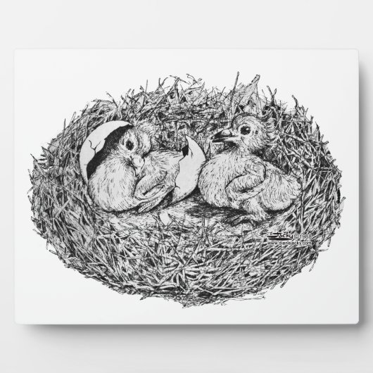 Pigeon Nest Babies Fotoplaat (Voorkant)
