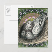 Pigeon Nest Briefkaart (Voorkant / Achterkant)