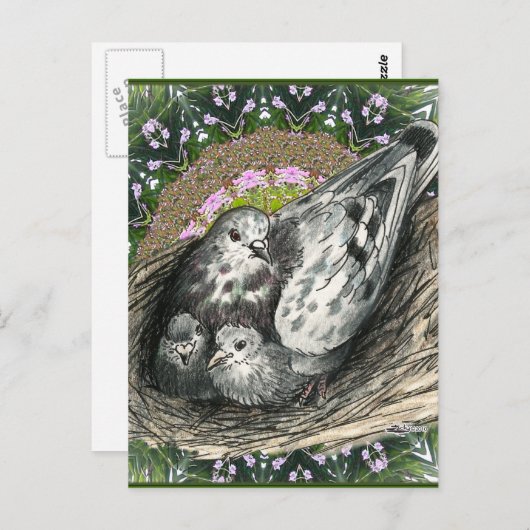 Pigeon Nest Briefkaart (Voorkant / Achterkant)