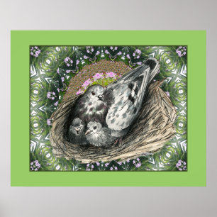 Pigeon Nest Poster