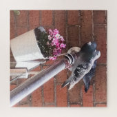 Pigeon Paar and Pink Flowers Legpuzzel (Horizontaal)