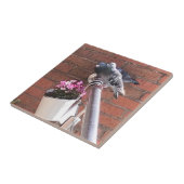 Pigeon Pair en Red Saxifrage Flowers Tegeltje (Zijkant)