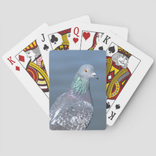 Pigeon Partner Speelkaarten