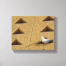 Pigeon Photo Canvas Afdruk