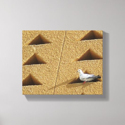 Pigeon Photo Canvas Afdruk (Voorkant)