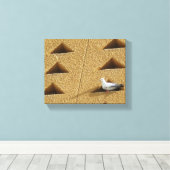 Pigeon Photo Canvas Afdruk (Insitu (Houten vloer))