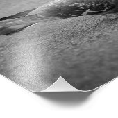 Pigeon Photo Print Foto Afdruk (Hoek)