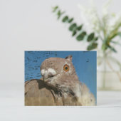 Pigeon Poetry Briefkaart (Staand voorkant)