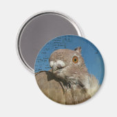 Pigeon Poetry Magneet (Voorkant / Achterkant)