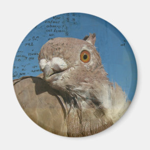 Pigeon Poetry Magneet