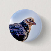 Pigeon Portrait Ronde Button 3,2 Cm (Voorkant)