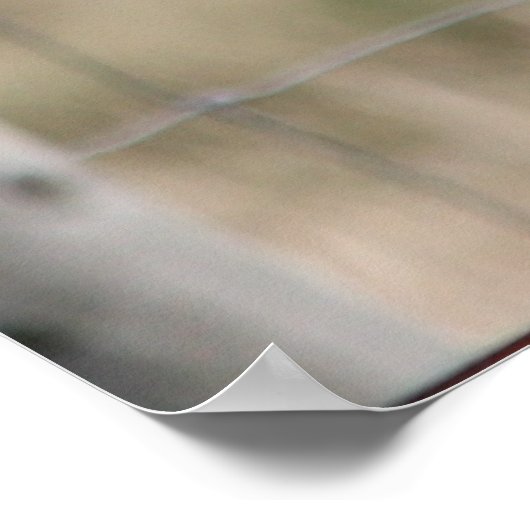 Pigeon Post Poster (Hoek)