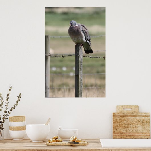 Pigeon Post Poster (Keuken)