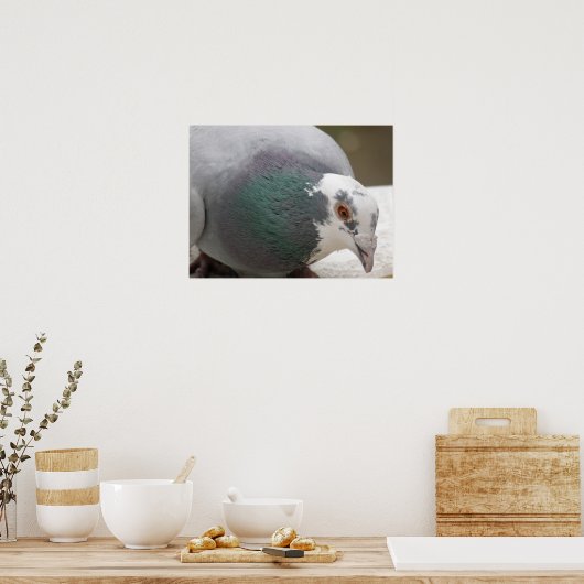 Pigeon Print (Keuken)