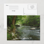 Pigeon River - Gatlinburg, TN Briefkaart (Voorkant / Achterkant)