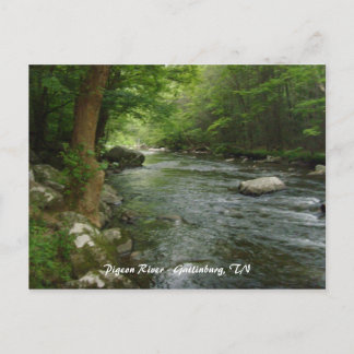Pigeon River - Gatlinburg, TN Briefkaart