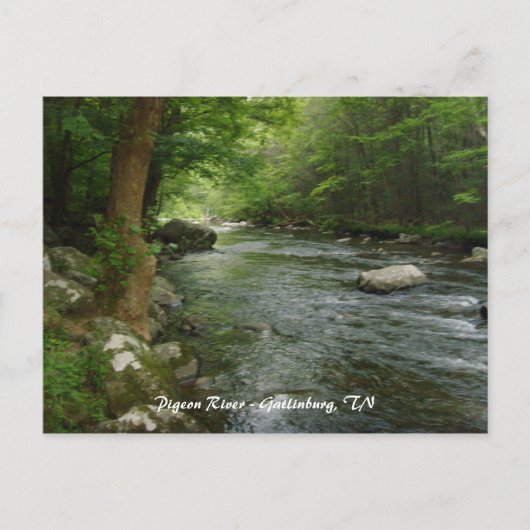 Pigeon River - Gatlinburg, TN Briefkaart (Voorkant)