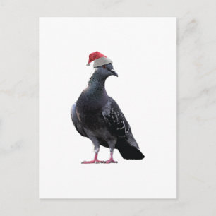 Pigeon Santa Hat Feestdagenkaart