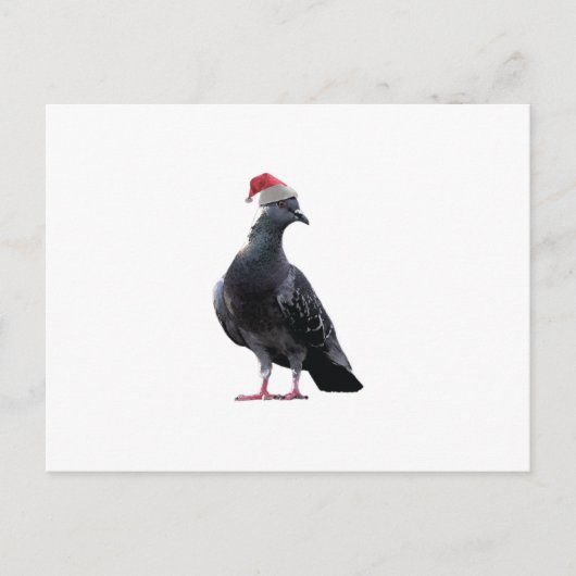 Pigeon Santa Hat Feestdagenkaart (Voorkant)