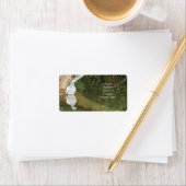 Pigeon Snail Mail Label (Insitu)