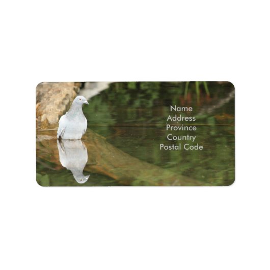 Pigeon Snail Mail Label (Voorkant)