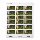 Pigeon Snail Mail Label (Full Sheet)