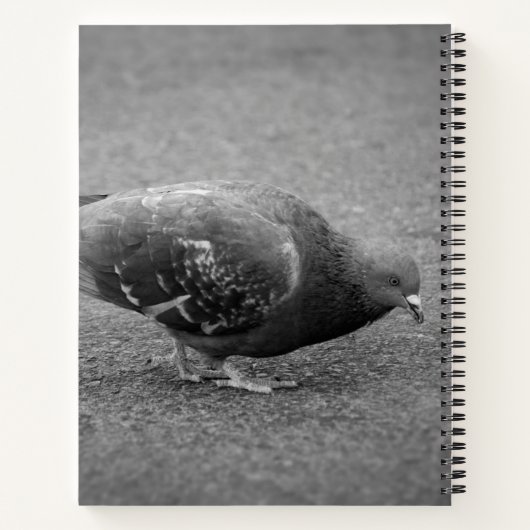 Pigeon Spiral Notitieboek (Achterkant)